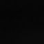 Pro 100