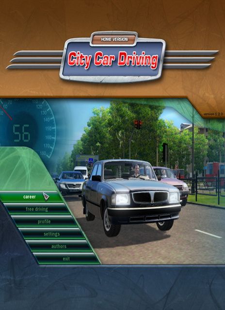 City Car Driving