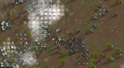 Anty the war ant race 1