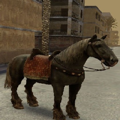 Wild Horse of the West