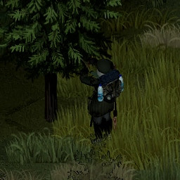 Trees Have Loot