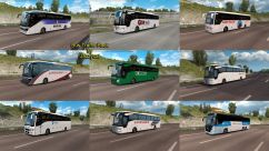 Bus Traffic Pack 14