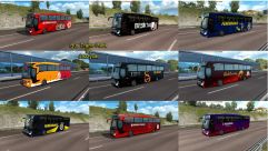 Bus Traffic Pack 15