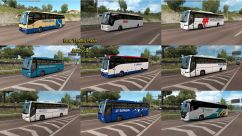 Bus Traffic Pack 13