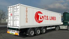 Arnook's SCS Containers Skin Project 23