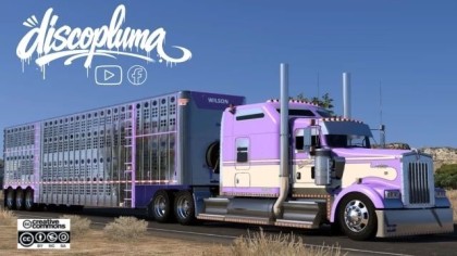 Wilson Silver Star &ndash; Custom Livestock Cages