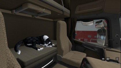 Dog with Animation
