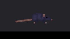 Rat 0
