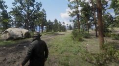 First Person Aim 0