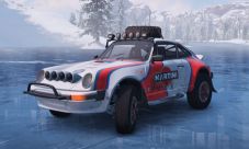 Porsche 911 Safari 0