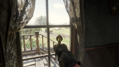 No zoom iron sight