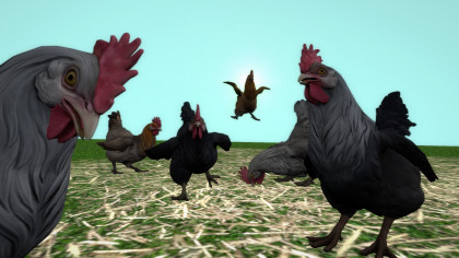 CS:GO NEW Chicken