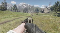 No zoom iron sight 5