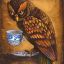 JustStrangeOwl