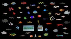 Aquarium 4