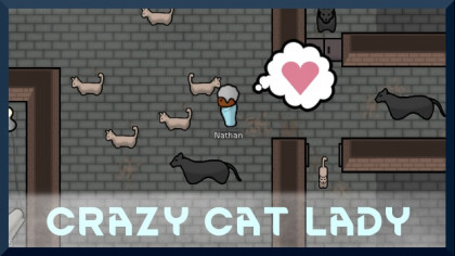 Crazy Cat Lady