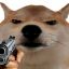 wot dog